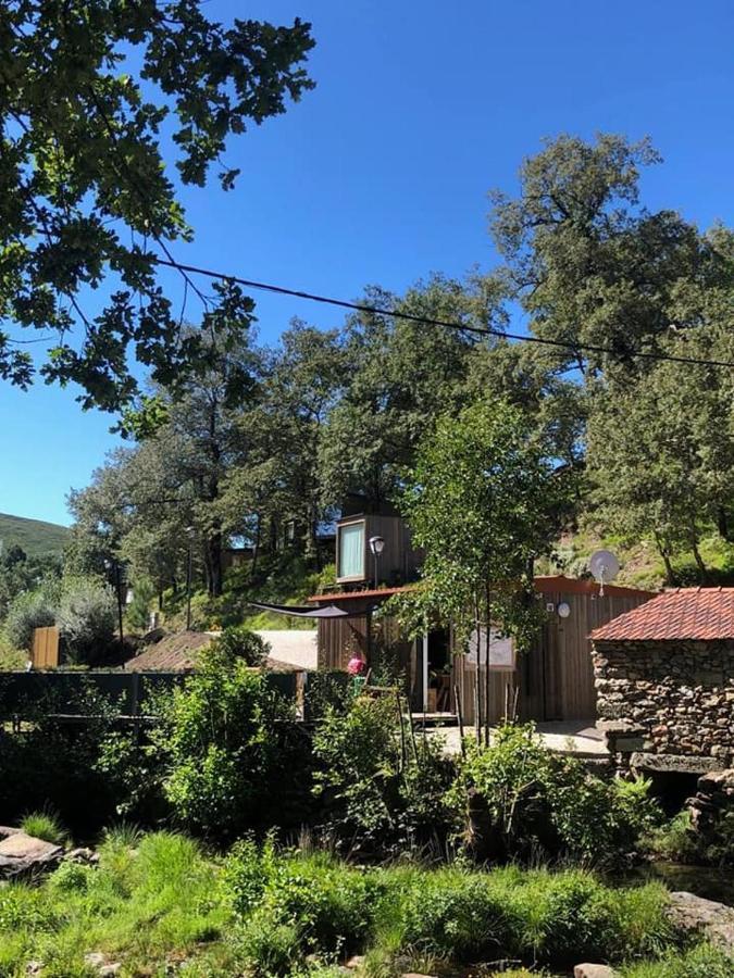 Ninho da Avó Selvagem Vila Montalegre Exterior foto