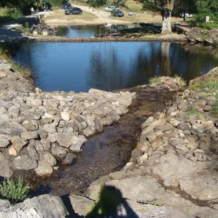 Ninho da Avó Selvagem Vila Montalegre Exterior foto