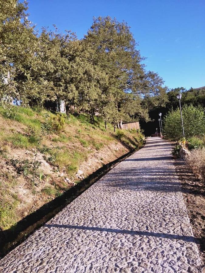 Ninho da Avó Selvagem Vila Montalegre Exterior foto