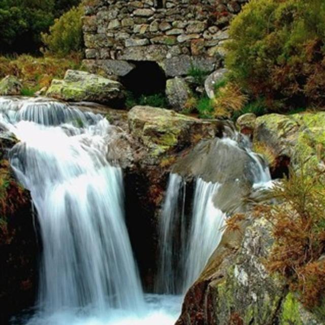 Ninho da Avó Selvagem Vila Montalegre Exterior foto